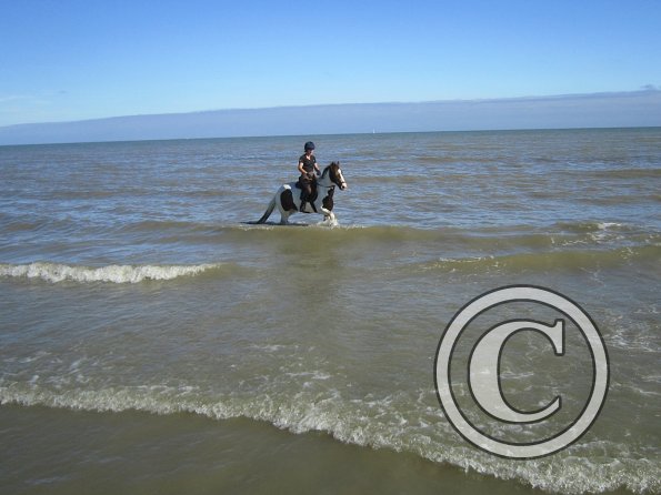 Coakham beach ride (25)