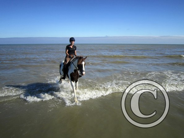 Coakham beach ride (26)