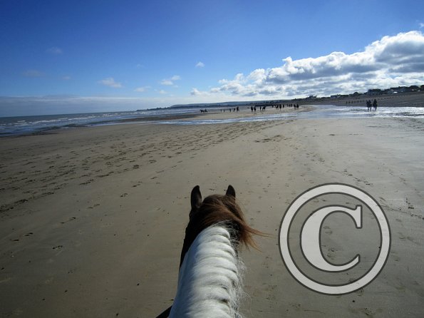Coakham beach ride (27)