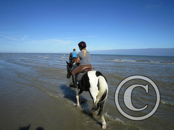 Coakham beach ride (29)