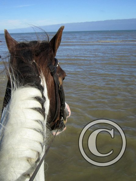 Coakham beach ride (30)