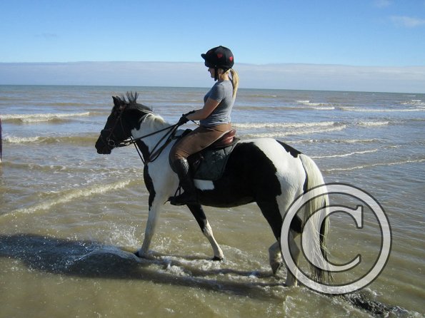 Coakham beach ride (33)