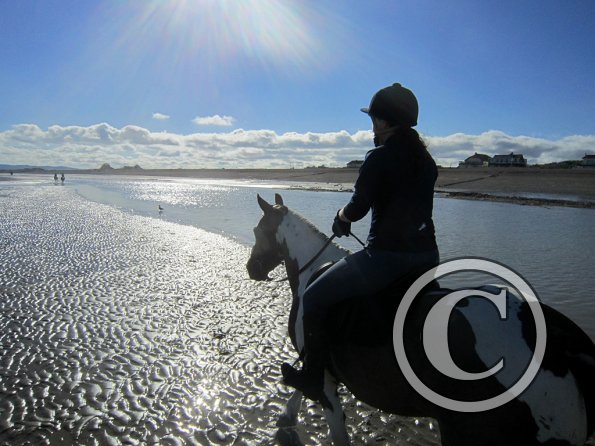 Coakham beach ride (36)