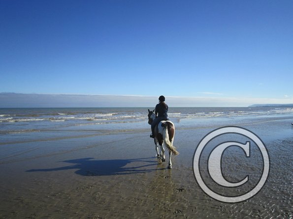 Coakham beach ride (38)