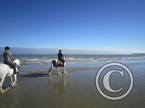 Coakham beach ride (39)