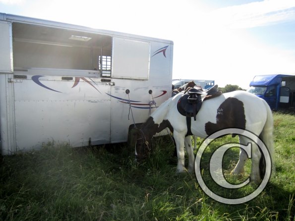 Coakham beach ride (4)