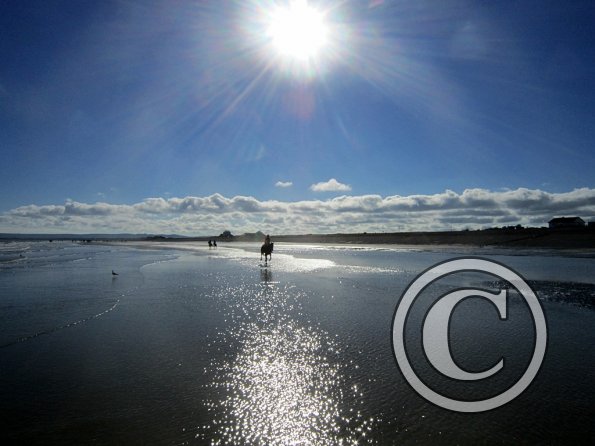 Coakham beach ride (40)