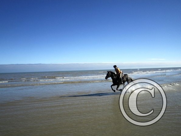 Coakham beach ride (45)