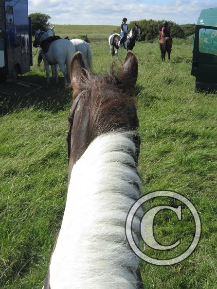 Coakham beach ride (5)