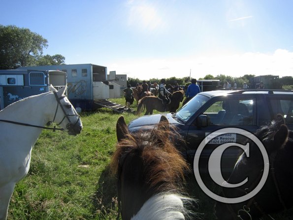 Coakham beach ride (6)