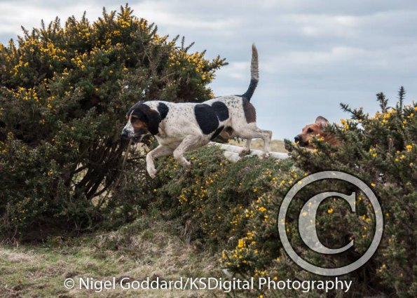 12321359_10154056600914801_8698078121058733311_n