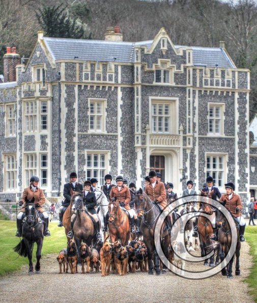 12968681_1371529442878639_42580548_n