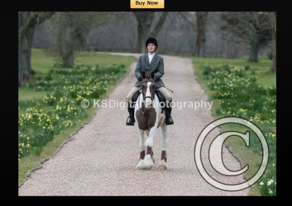 capture-20160320-214432