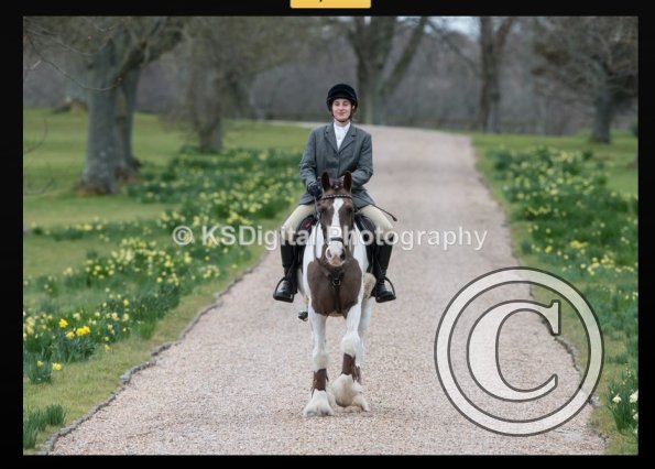 capture-20160320-214505