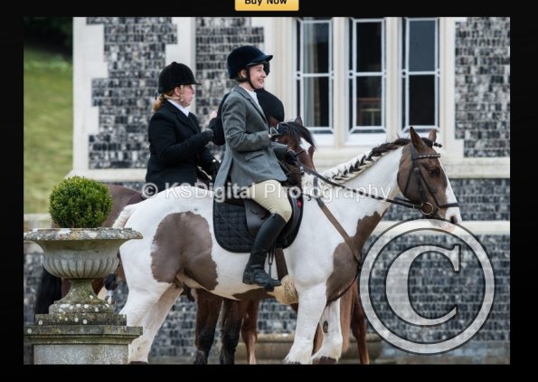 capture-20160320-214531