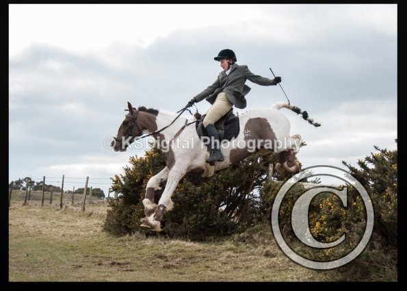 capture-20160320-215616