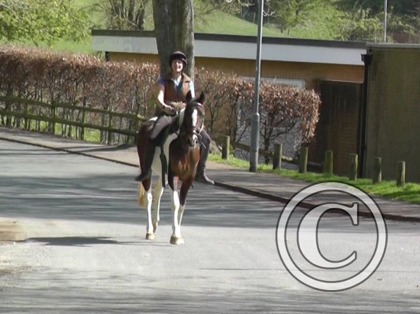 Anna riding Ghos (4)