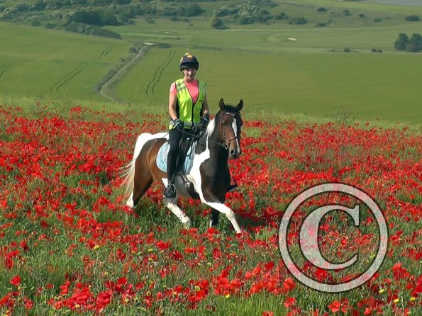 06-25-2015_074304(13)