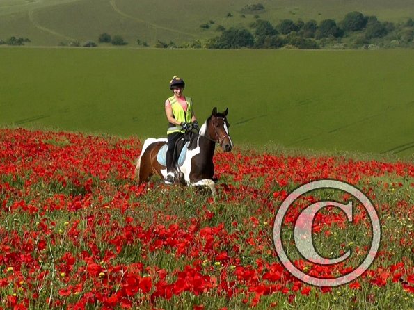 06-25-2015_074304(36)