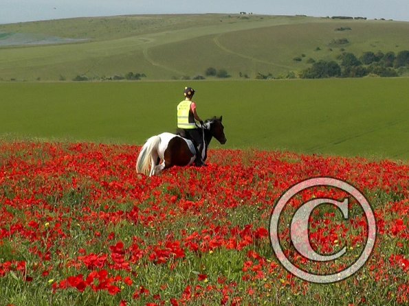 06-25-2015_074755(3)