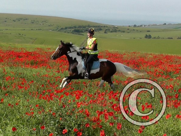 06-25-2015_074755(6)