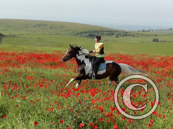 06-25-2015_074755(7)