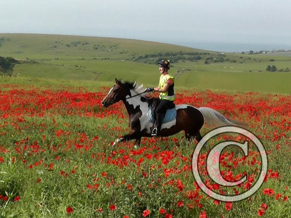 06-25-2015_074755(8)