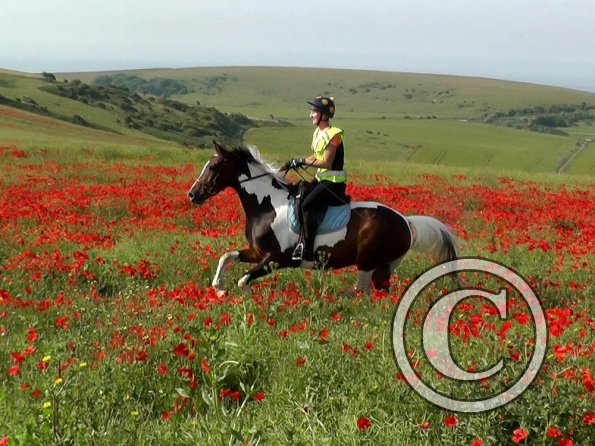 06-25-2015_074755(9)