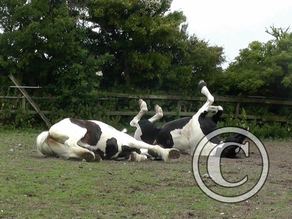 07-05-2015_104139(4)