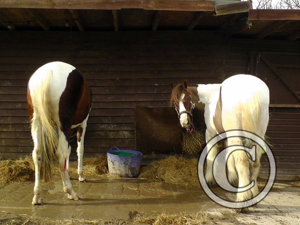 Ghos and Lance Bums (2)