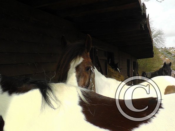 Lance hiding behind Ghost