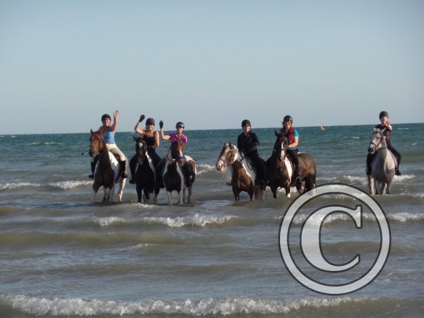 Sunny beach ride JD Lance (10)