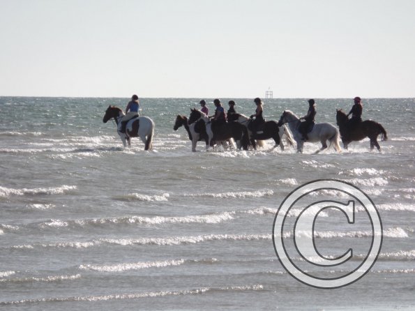 Sunny beach ride JD Lance (12)