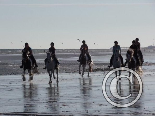 Sunny beach ride JD Lance (14)