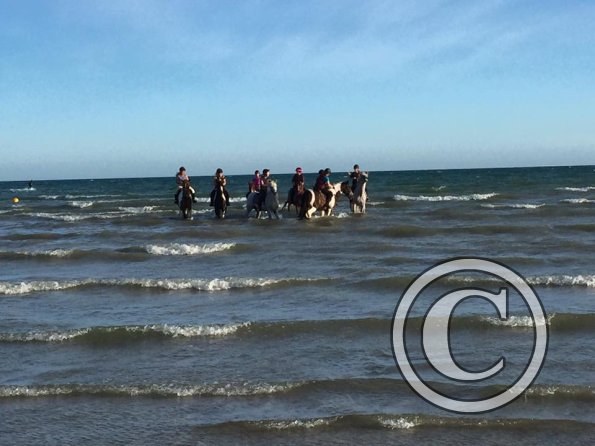 Sunny beach ride JD Lance (17)