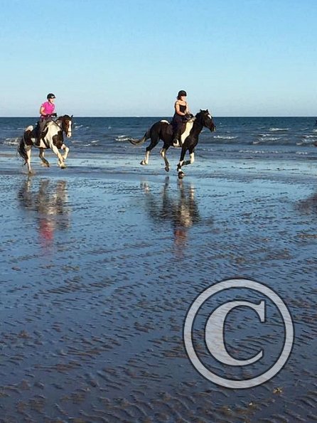 Sunny beach ride JD Lance (19)