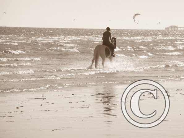 Sunny beach ride JD Lance (2)