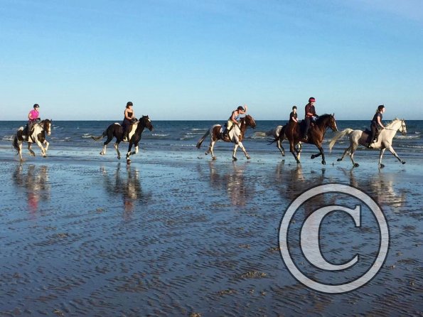 Sunny beach ride JD Lance (25)