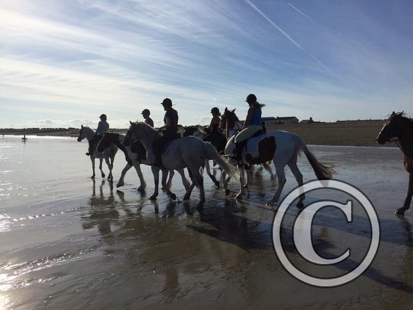 Sunny beach ride JD Lance (3)