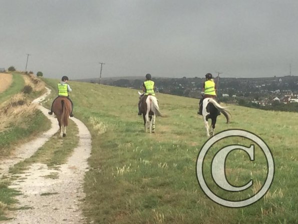 Team Dumb and Dumber