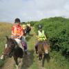 Summer Ride 3 (7)