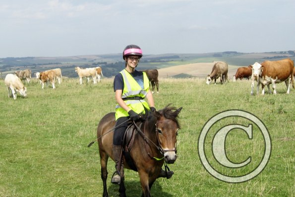 Julia smiling and cows
