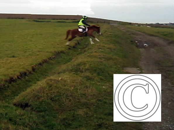 Ditch jumping (10)
