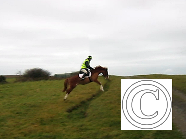 Ditch jumping (6)