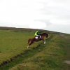 Ditch jumping (8)