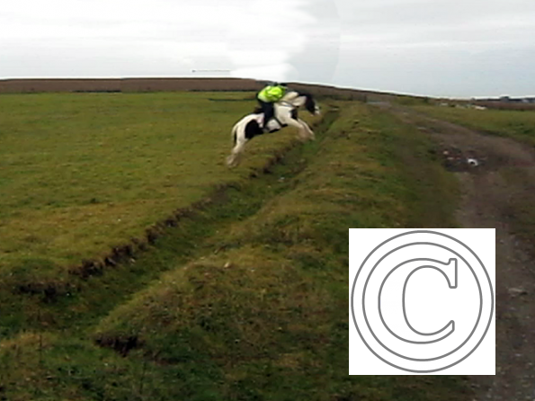 Ditch jumping (9)