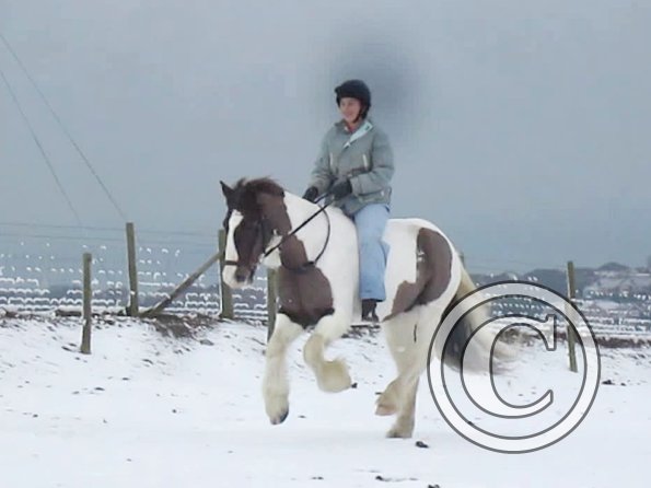 Anna and Lance cantering (2)
