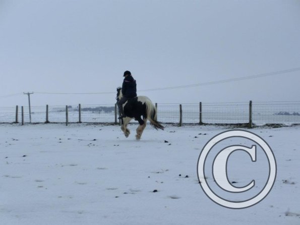 Libby and Willow cantering