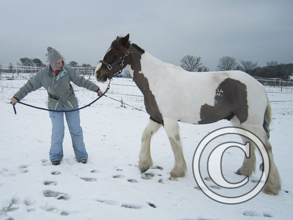 Practising bowing (13)