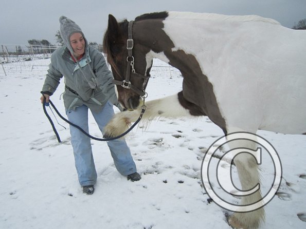 Practising bowing (14)